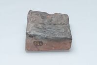 0000.0396.02.jpg; 0000.0396; ;