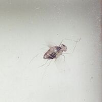 0000.2078.03.jpg; 0000.2078; ;