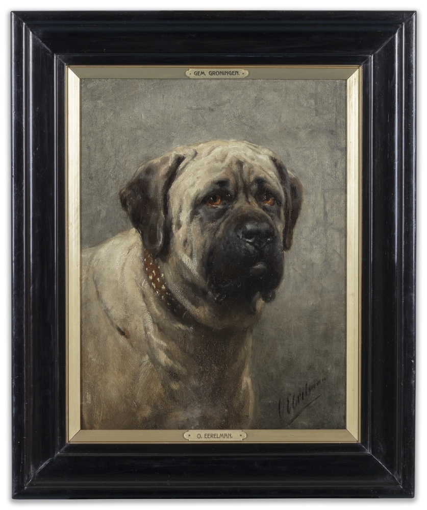 Engelse Mastiff
