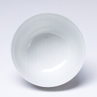 1899.0101a.03.jpg; 1899.0101; ;