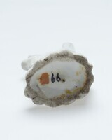 1900.0066.05.jpg; 1900.0066; ;