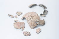 1919-08-0029.02.jpg; 1919-08-0029; ;