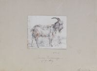 1919.0319.02.jpg; 1919.0319; ;