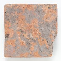 1926.0154.A.02.jpg; 1926.0154; ;