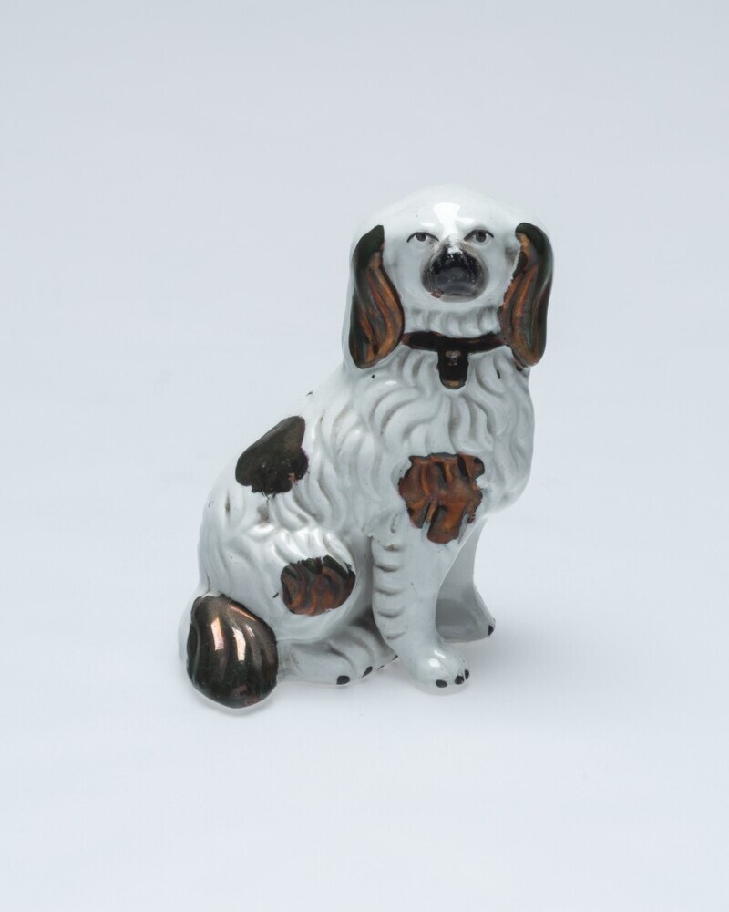 Zittende hondje