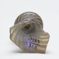 1929.0919.02.jpg; 1929.0919; ;