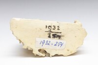 1932.0254.04.jpg; 1932.0254; ;