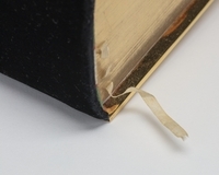 1943.0782.04.jpg; 1943.0782; ;