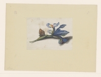 1951.0586.01.jpg; 1951.0586; ;