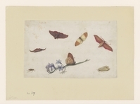 1951.0589.01.jpg; 1951.0589; ;