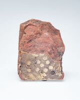 1957.0106.03.jpg; 1957.0106; ;