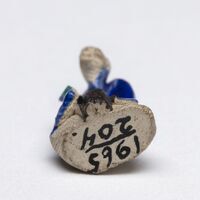 1965.0204.03.jpg; 1965.0204; ;