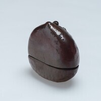 1967.0067.04.jpg; 1967.0047; ;