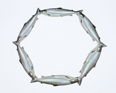 1979.0508.01.jpg; 1979.0508; ;