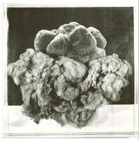 1979.0521zw.jpg; 1979.0521; ;