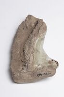 1980.0178.10.02.jpg; 1980.0178; ;