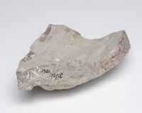 1980.0178.12.02.jpg; 1980.0178; ;