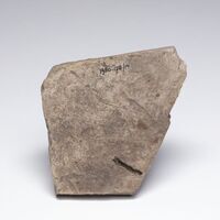 1980.0178.14.02.jpg; 1980.0178; ;