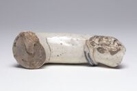 1980.0178.2.02.jpg; 1980.0178; ;