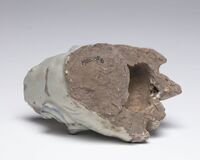 1980.0178.6.03.jpg; 1980.0178; ;