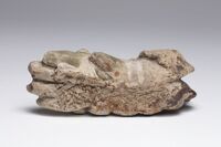 1980.0178.7.03.jpg; 1980.0178; ;