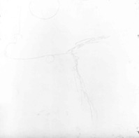 1980.0510bzw.jpg; 1980.0510; ;