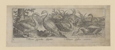 1981.1163.jpg; 1981.1163; ;