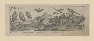 1981.1164.jpg; 1981.1164; ;