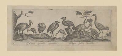 1981.1166.jpg; 1981.1166; ;