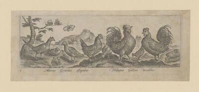 1981.1167.jpg; 1981.1167; ;