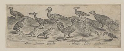 1981.1169.jpg; 1981.1169; ;