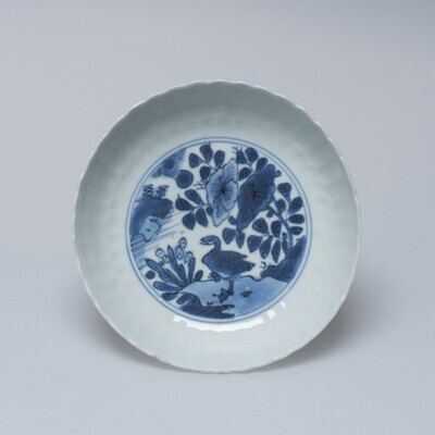 1981.1692.01.jpg; 1981.1692; ;