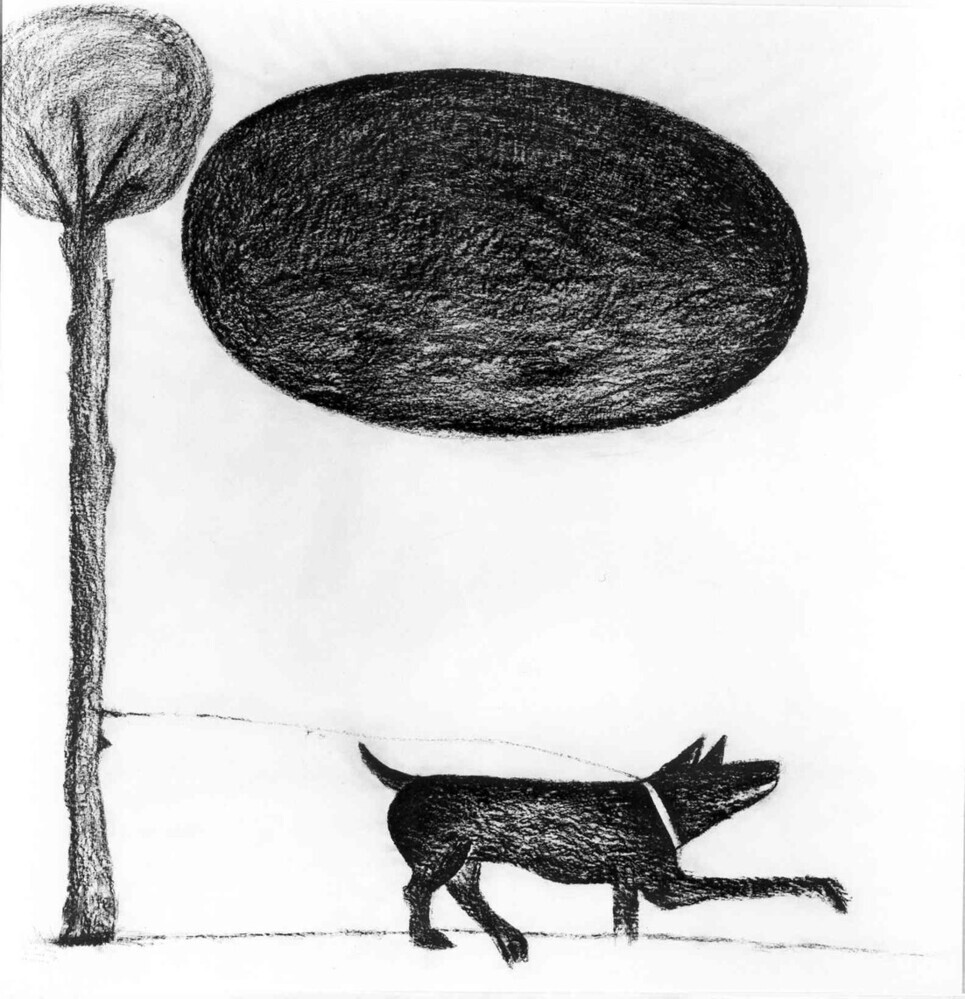 Palla santa di cane
