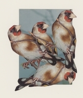 1982.0329.01.jpg; 1982.0329; ;