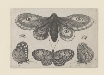 1982.0972.jpg; 1982.0972; ;