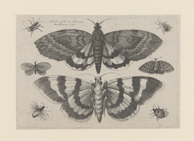 1982.0973.jpg; 1982.0973; ;