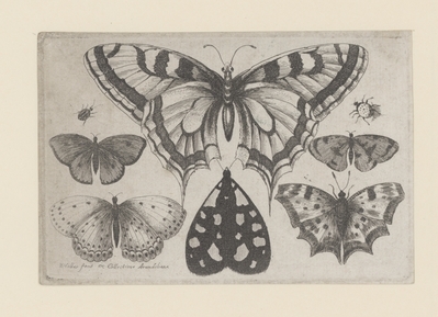 1982.0974.jpg; 1982.0974; ;