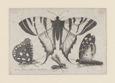 1982.0975.jpg; 1982.0975; ;