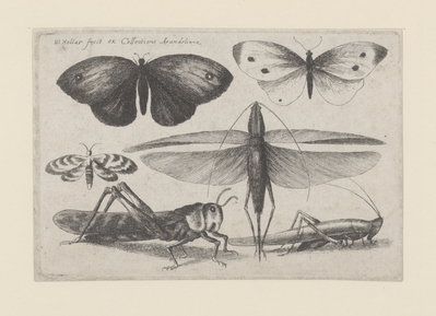 1982.0976.jpg; 1982.0976; ;