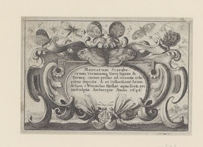 1982.1625.jpg; 1982.1625; ;