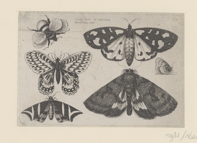 1982.1629.jpg; 1982.1629; ;