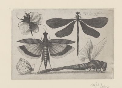 1982.1630.jpg; 1982.1630; ;