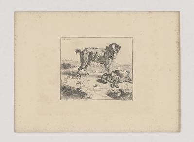 1982.1876.jpg; 1982.1876; ;