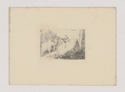 1982.1880.jpg; 1982.1880; ;