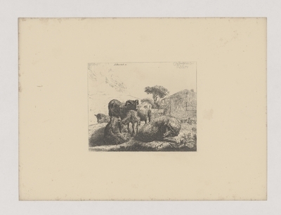 1982.1882.jpg; 1982.1882; ;