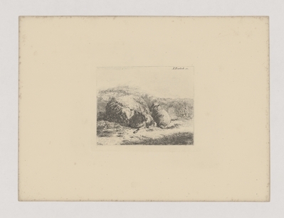 1982.1883.jpg; 1982.1883; ;