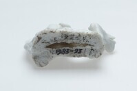 1983.0093.05.jpg; 1983.0093; ;