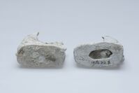 1986.0712.05.jpg; 1986.0712; ;