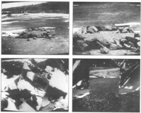 1987.0303.G.jpg; 1987.0303; ;