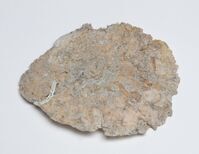 1991.0296.04.jpg; 1991.0296; ;